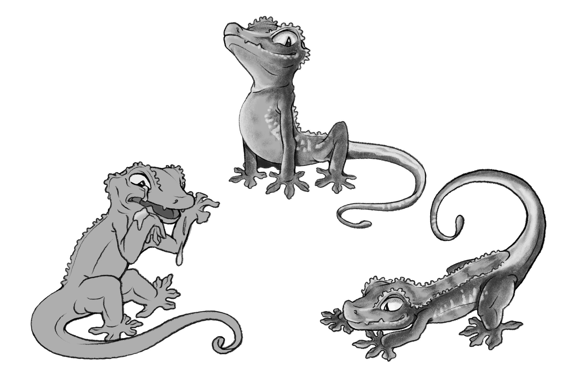 Gecko Greyscale